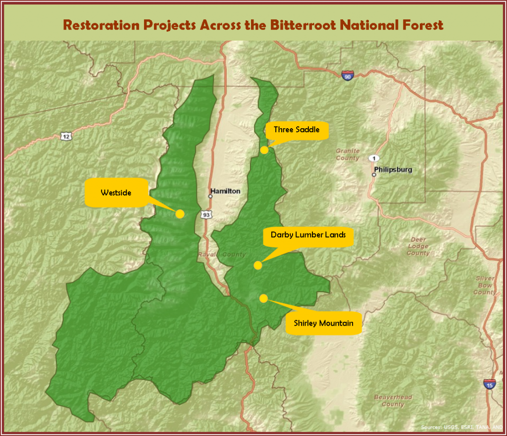 Bitterroot Forest Collaborative On the Ground Montana Forest