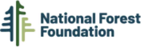 NFF_logo_color